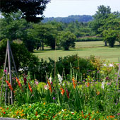 sarah lavalley garden designs/gardens