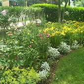 sarah lavalley garden designs/gardens